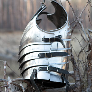 Fluted Cuirass Breastplate Backplate Armour