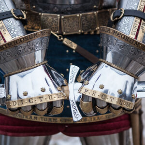 Mittelalter Panzerhandschuhe „Die Wache des Königs“ aus rostfreiem Stahl