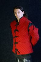 Mittelalter Gambeson
