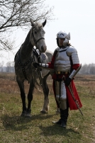 Mittelalter Rüstung Flügelhusar 2