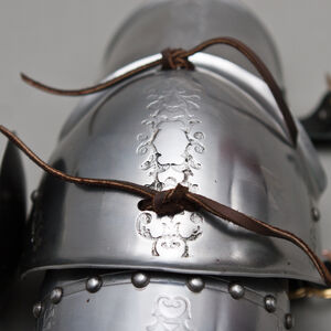 Armschutz Set