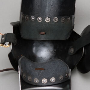 Armschutz Set
