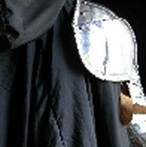 Exklusiver Schulterschutz, Pauldron, Armröhren