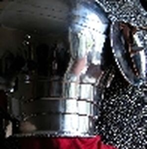 Exklusiver Schulterschutz, Pauldron, Armröhren