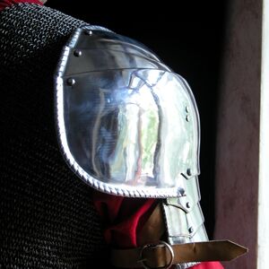Exklusiver Schulterschutz, Pauldron, Armröhren