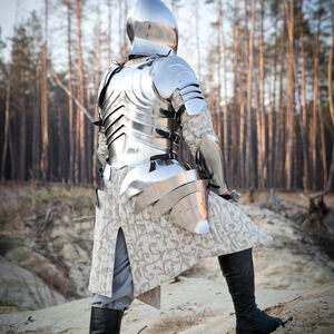 Fantasy Rüstung Elfen Prinz