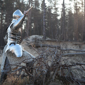 Fantasy Rüstung Elfen Prinz