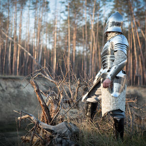 Fantasy Rüstung Elfen Prinz