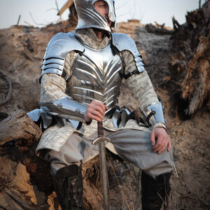 Fantasy Rüstung Elfen Prinz