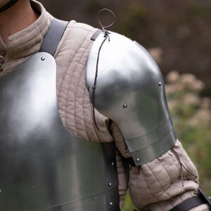 Funktionelle, leichte 4-Segment-Schultern „Heckenritter“ für WMA Harnischfechten
