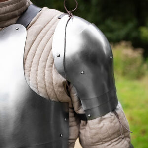 Funktionelle, leichte 4-Segment-Schultern „Heckenritter“ für WMA Harnischfechten