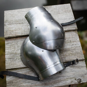 Funktionelle, leichte 4-Segment-Schultern „Heckenritter“ für WMA Harnischfechten