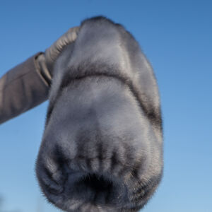 Handwärmer aus Kunstpelz „Grasiris“