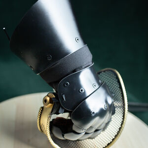 HEMA 5-Finger-Handschuhe „Black Prince“ aus Kunststoff