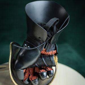 HEMA 5-Finger-Handschuhe „Black Prince“ aus Kunststoff