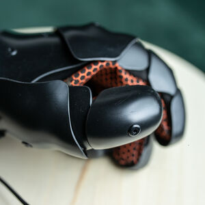 HEMA 5-Finger-Handschuhe „Black Prince“ aus Kunststoff