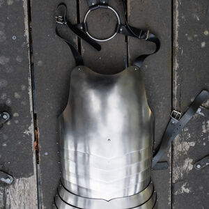 Leichtes Funktionsrüstungsset „Heckenritter“ für WMA, HEMA Harnischfechten