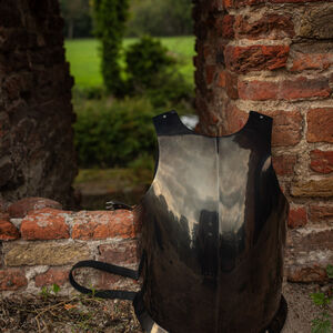 Leichtes praktisches Rüstungsset „Söldner“ für WMA, HEMA Harnischfechten