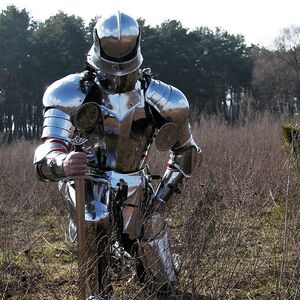 Mittelalter Gotik Brustpanzer Und Rückenpanzer