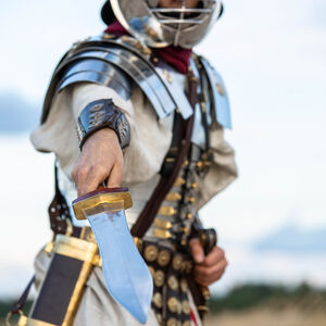 Sale: Römisches dekoratives Gladius mit Scheide „Cassius” | Messing hat sich verdunkelt